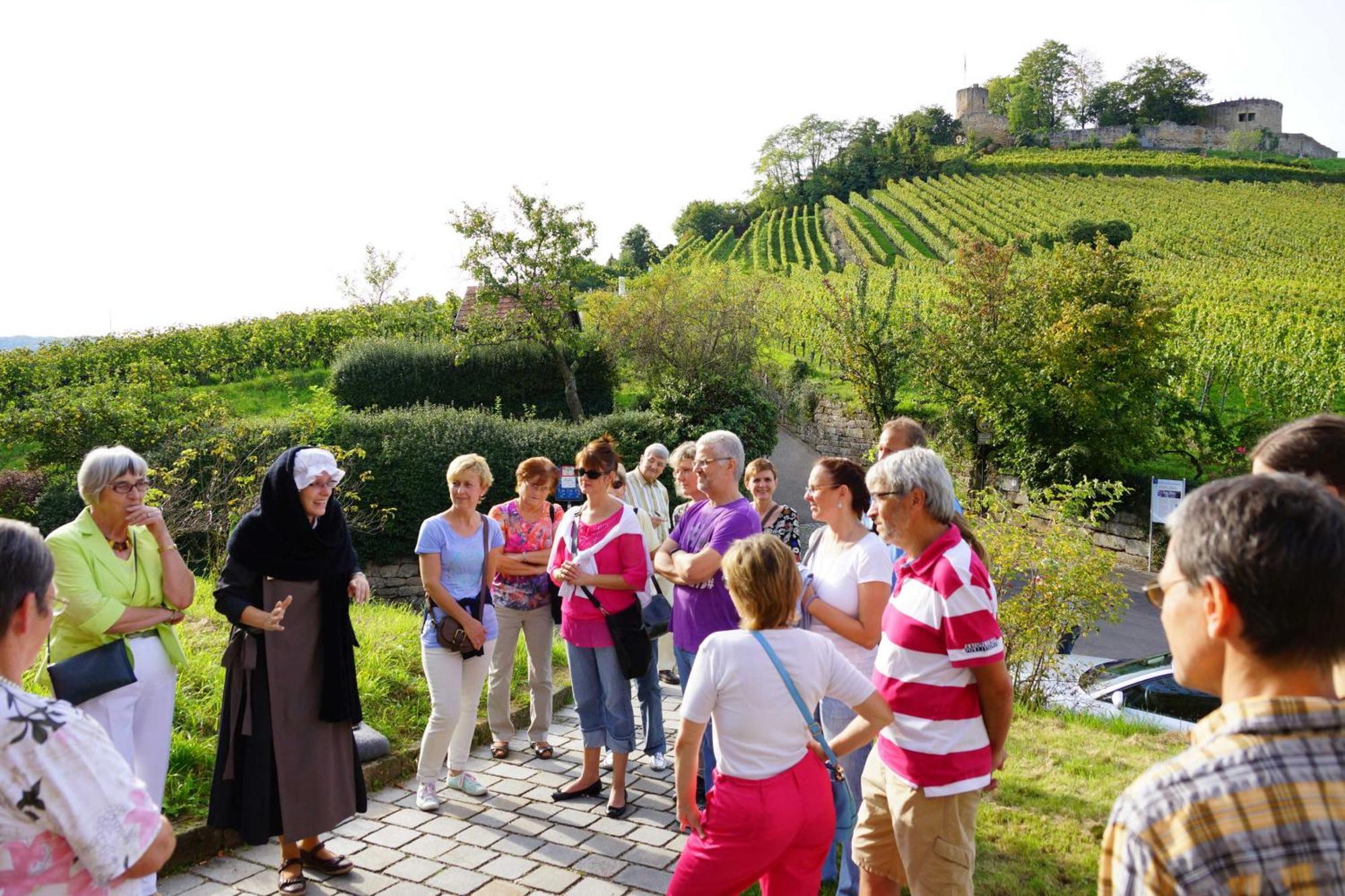 Gaestehaus Zum Wolffenturm Lehrensteinsfeld Kültér fotó