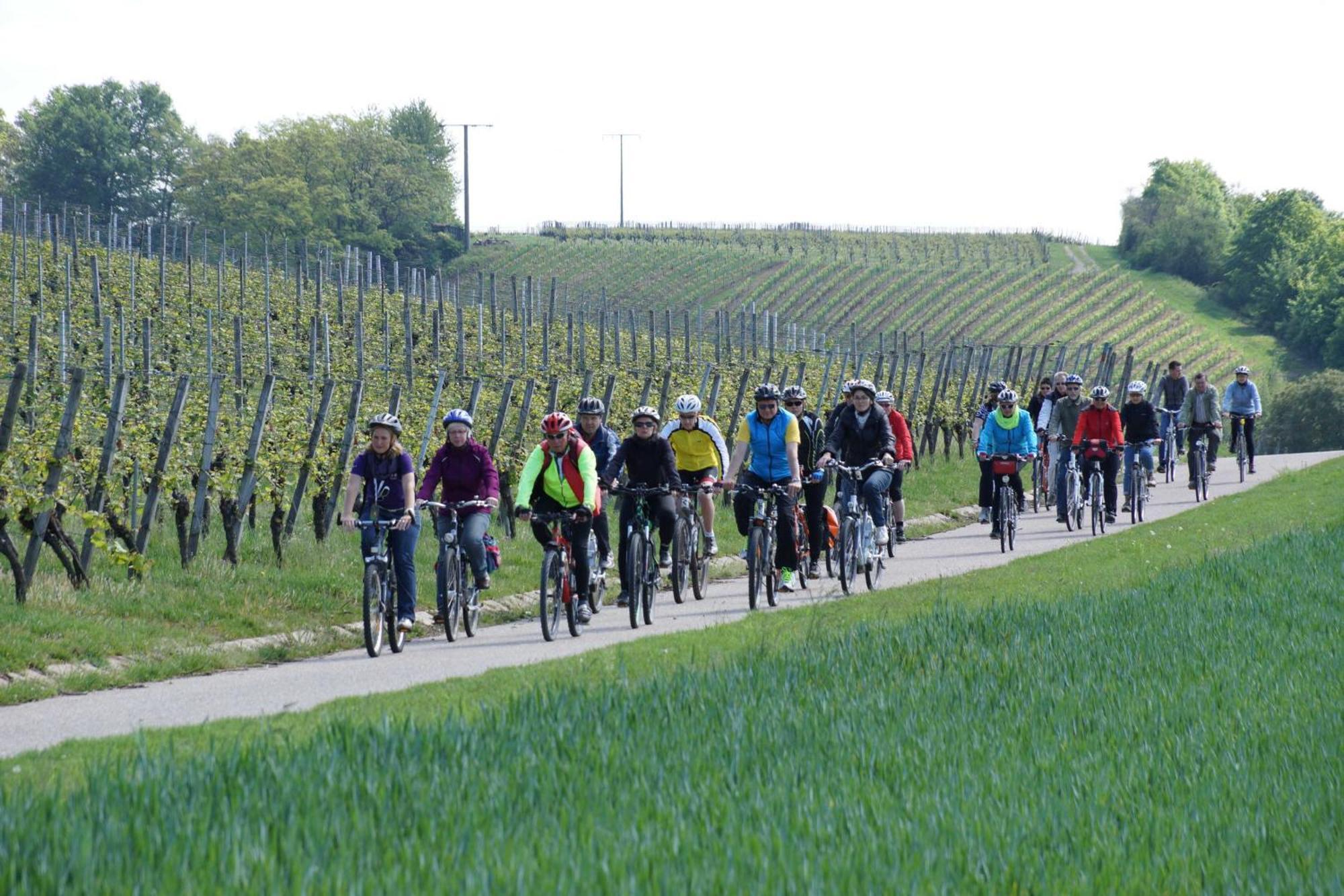 Gaestehaus Zum Wolffenturm Lehrensteinsfeld Kültér fotó