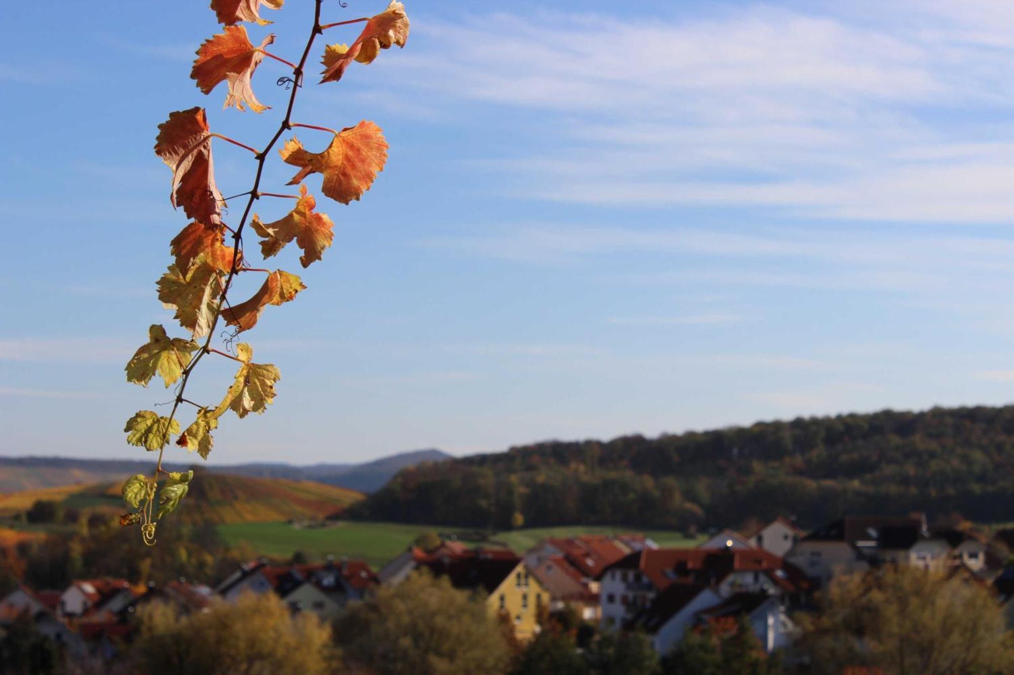 Gaestehaus Zum Wolffenturm Lehrensteinsfeld Kültér fotó